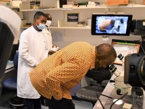 Kenya will start using the first locally Developed Malaria Rapid Diagnostic Test Kit to detect malaria cases, the Ministry of Health says.